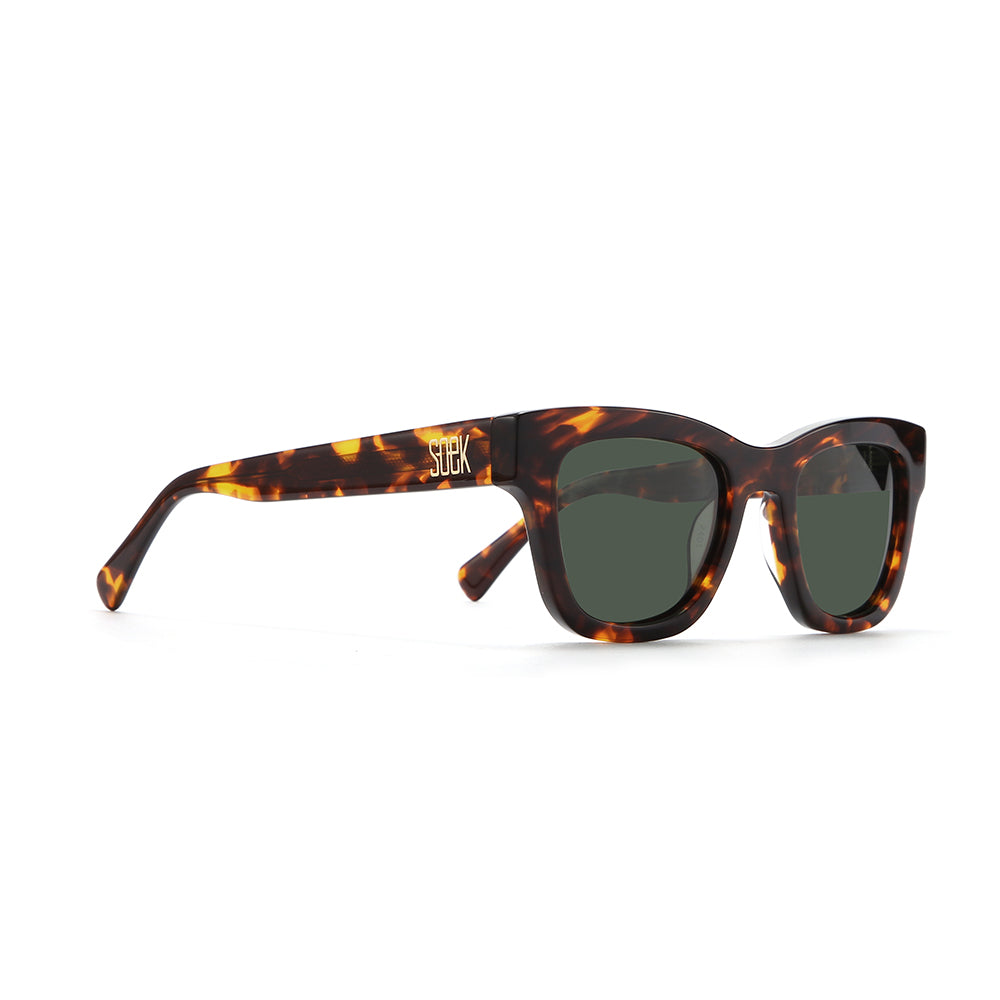 COLLIDE TORT - Bio Acetate Tortoise Frame l Khaki  Polarised Lens